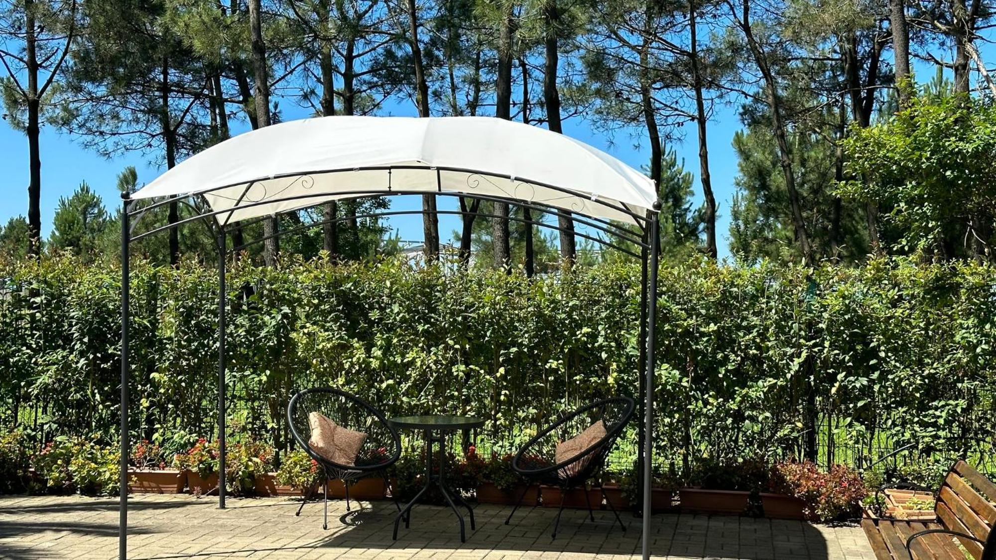 Iveria Elli Hotel Shekhvetili Zewnętrze zdjęcie